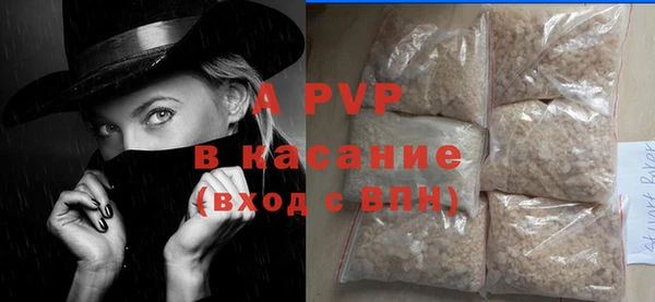 гидра Няндома