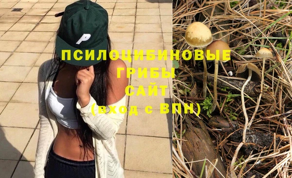 спиды Арсеньев
