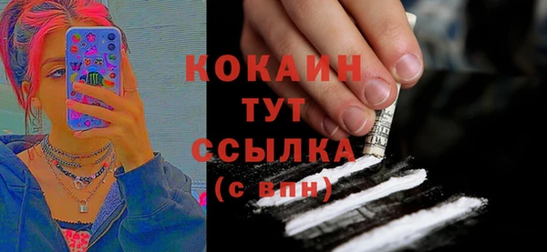 apvp Новозыбков