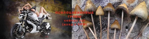 спиды Арсеньев